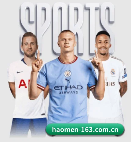 用冷酷数据对抗流量喧嚣（Haomen）
